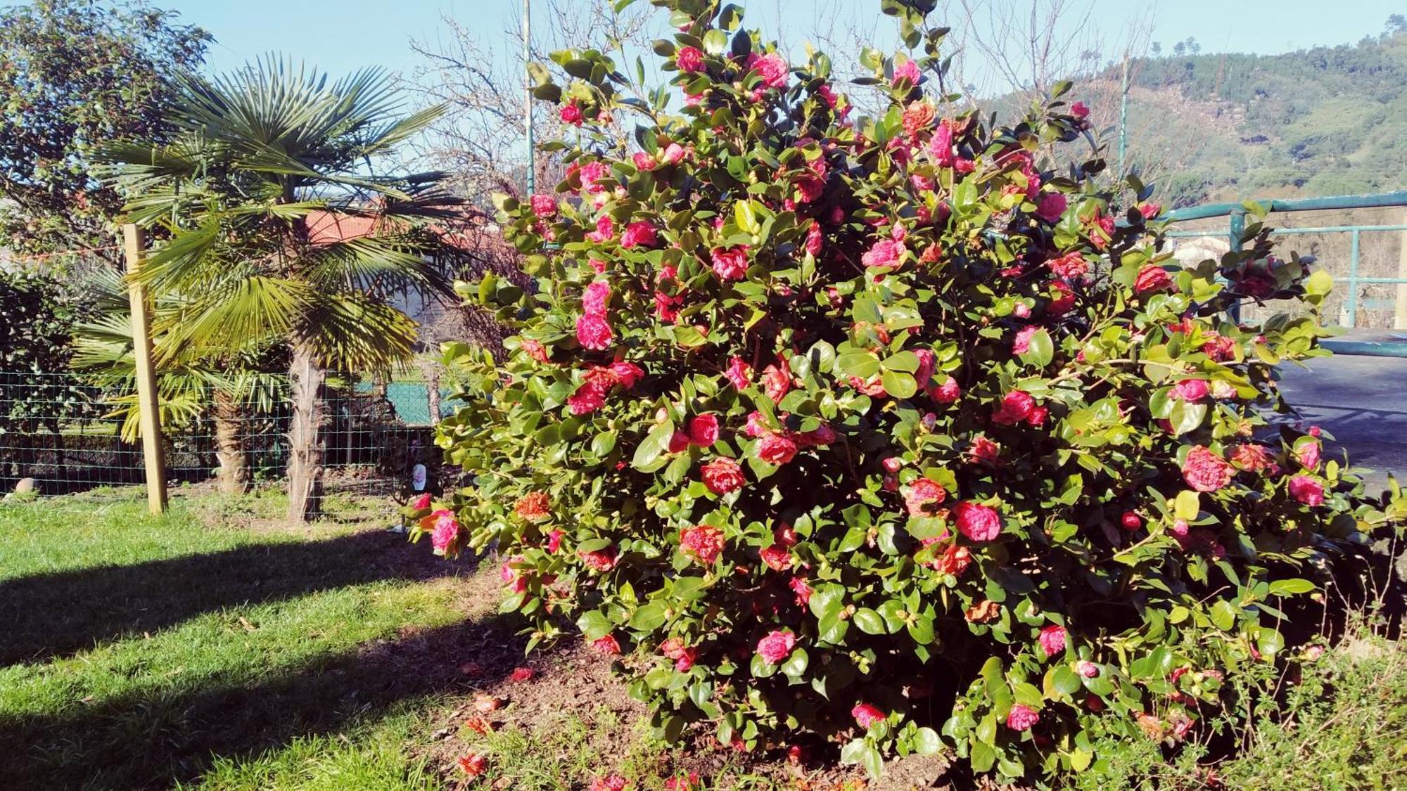فيلا Casa Iriana - Parking Gratis I Jardin I Barbacoa أورينس المظهر الخارجي الصورة