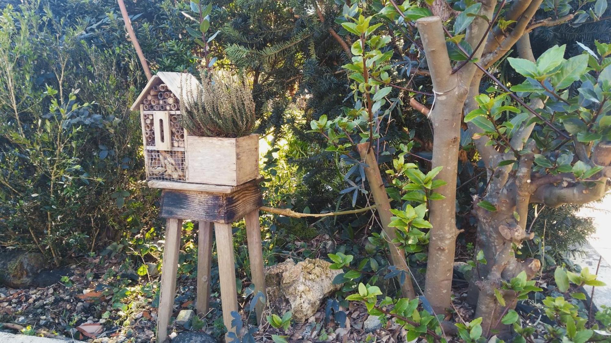 فيلا Casa Iriana - Parking Gratis I Jardin I Barbacoa أورينس المظهر الخارجي الصورة