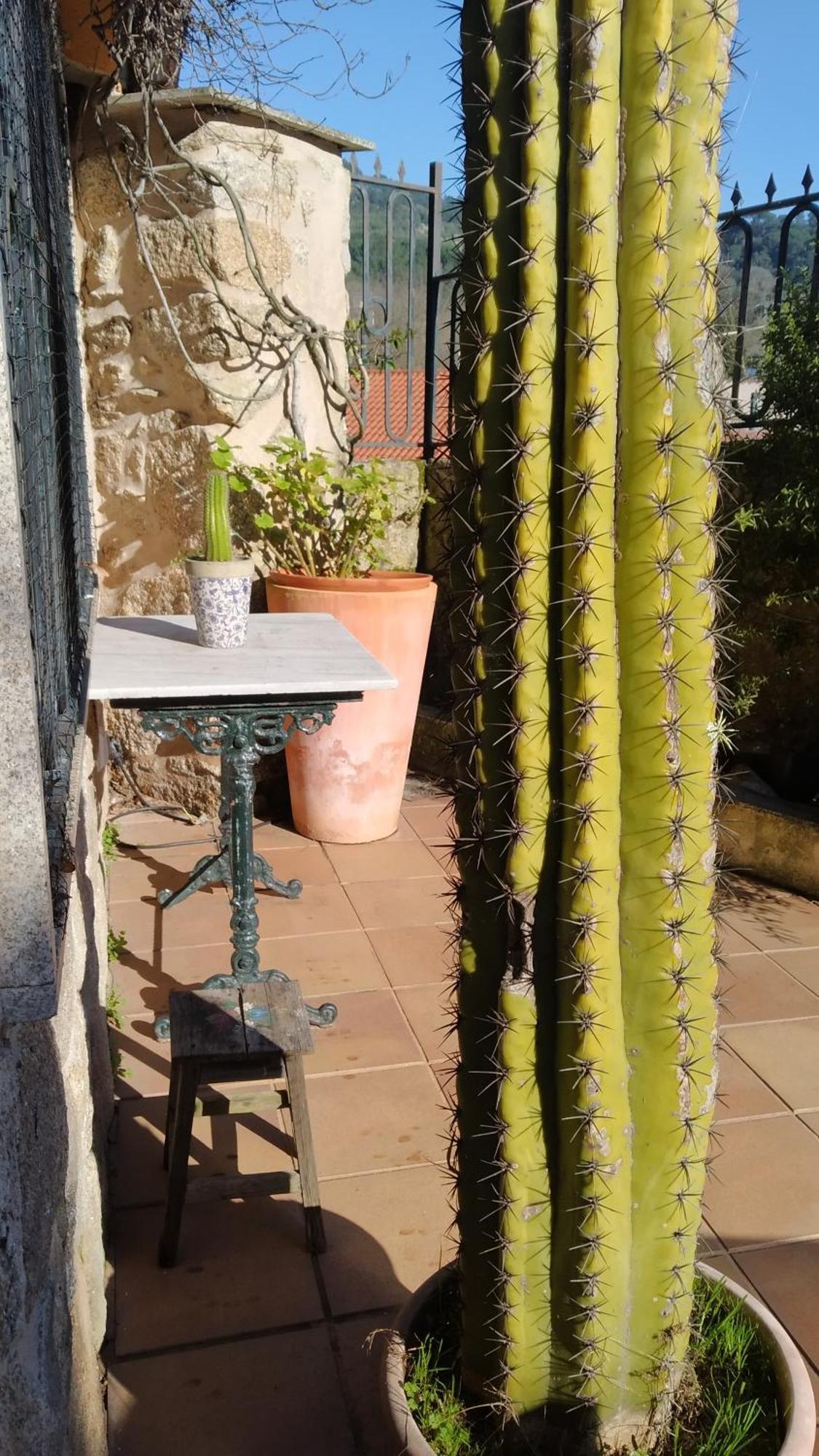 فيلا Casa Iriana - Parking Gratis I Jardin I Barbacoa أورينس المظهر الخارجي الصورة